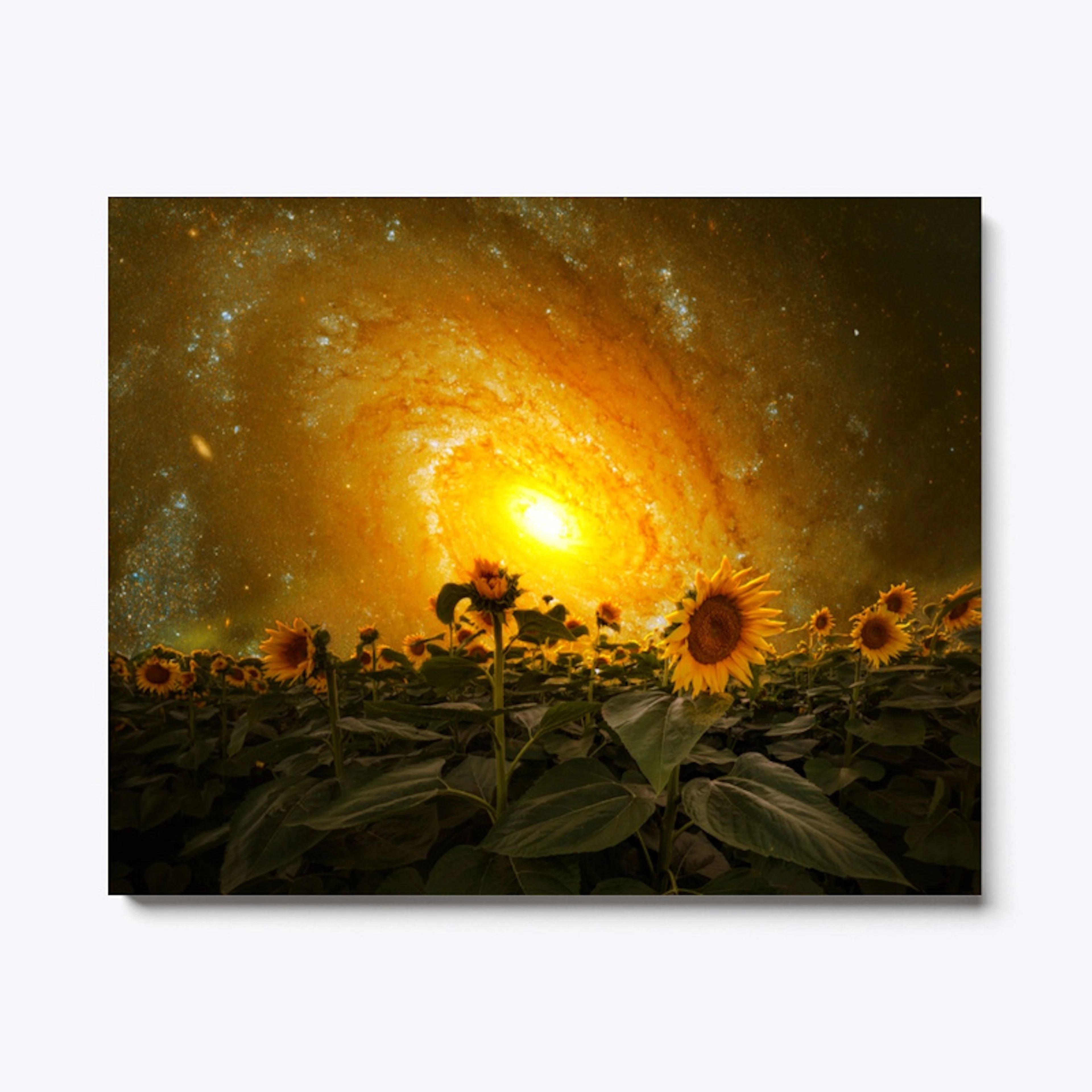 Sunflower Galaxy